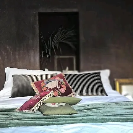 Casa Vacanze Bab Al Bahr - Terrace Garden Oasis Apartment *